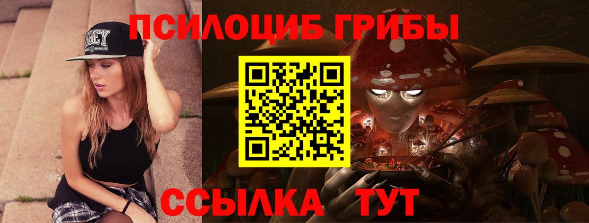 Галлюциногенные грибы MAGIC MUSHROOMS  Вход с VPN  Ленинск-Кузнецкий  Галлюциногенные грибы GOLDEN TEACHER 